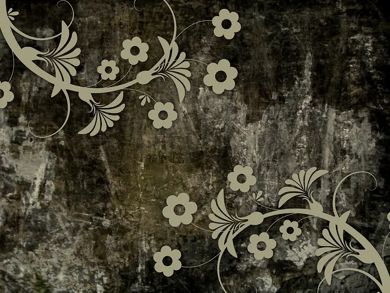 ���Ż��Ʊ���-������