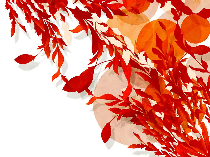 ���Ż��Ʊ���-������