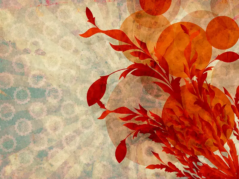 ���Ż��Ʊ���-������