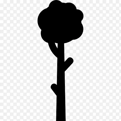 �ߴ����ͼ��-������