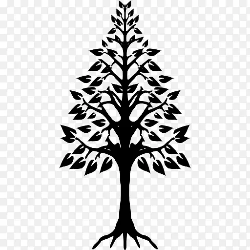 ������������ͼ��-������