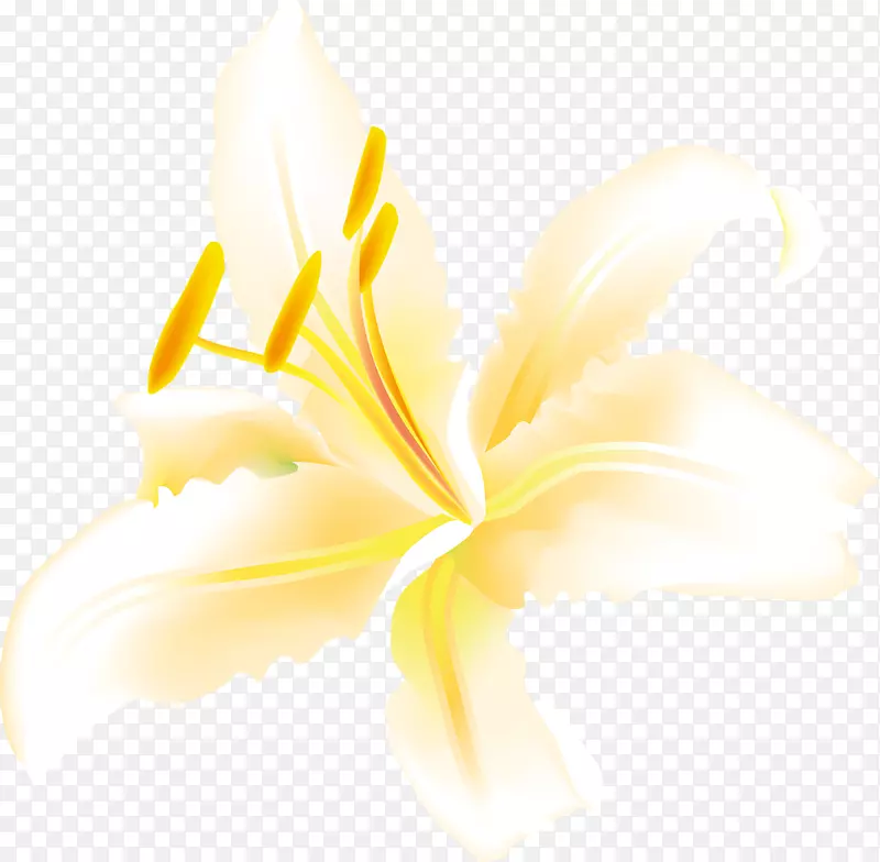 �л�ֲ�ﻨ�������ֽ����ֲ��ٺ�-������