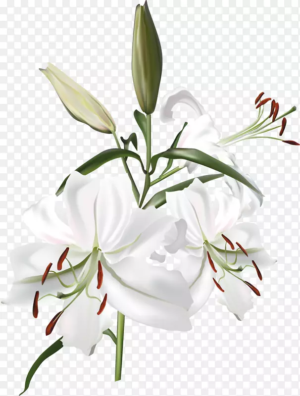 �װٺ�-������