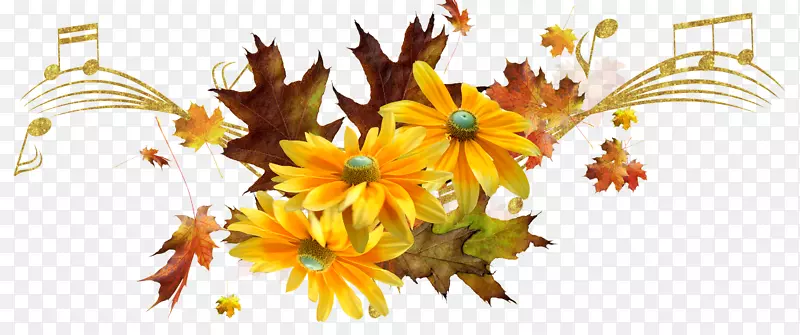 �ջ��ƻ���-��-������