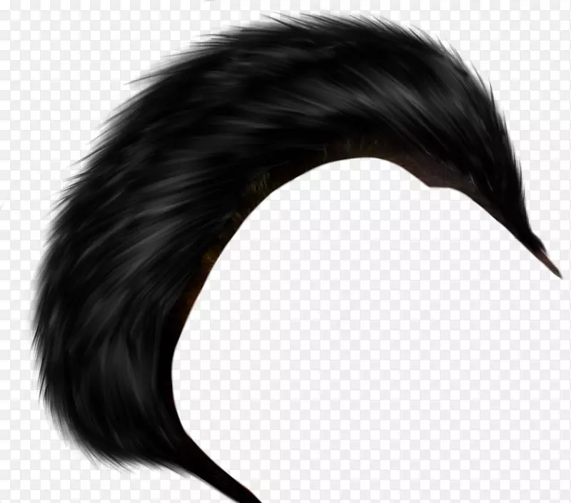 ͼƬ������ͼƬ�༭��������-ͷ��-������