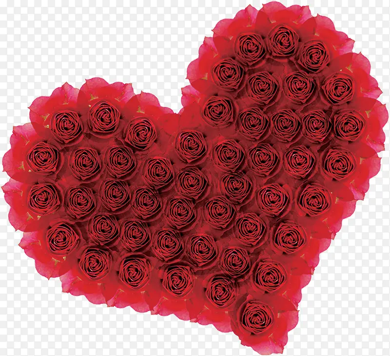 Ψ��õ���ʻ�����-������