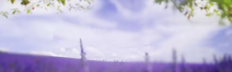 ��ɫ����޹�²ݻ���Ʒ����banner-������