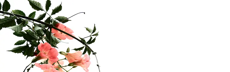 ����ʱ���罦Ч������-������