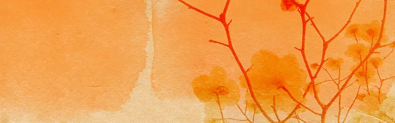 ����ʱ���罦Ч������-������