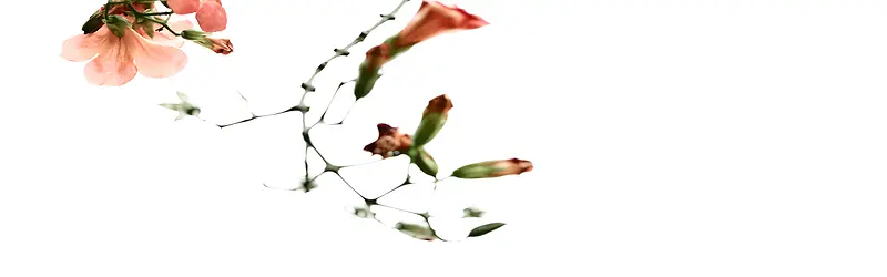 ����ʱ���罦Ч������-������