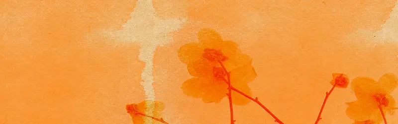 ����ʱ���罦Ч������-������