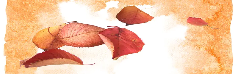 ����ʱ���罦Ч������-������