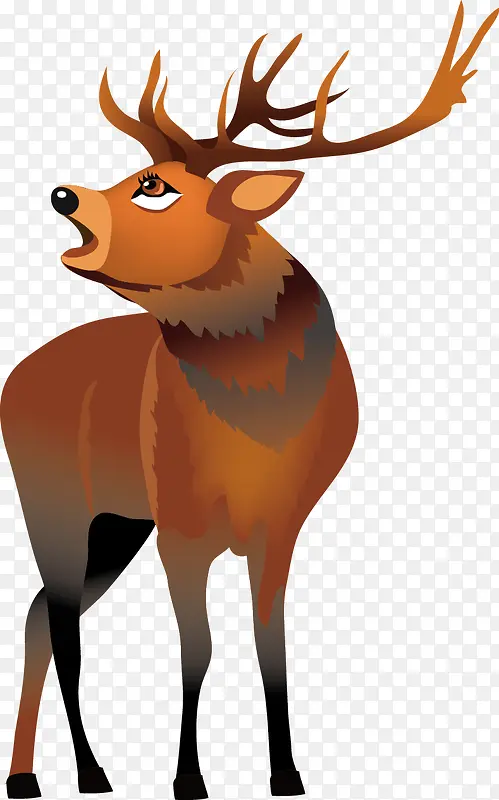 ��ͨ����-������