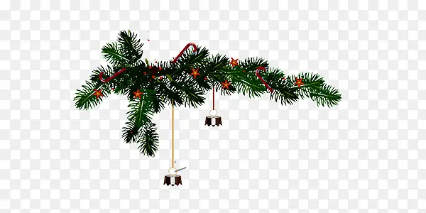 ������ɫʥ����ʥ��֦-������