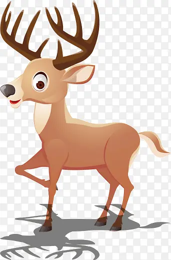 �ɰ���С¹-������