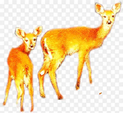 ��ɫ�ɰ��а�С¹-������