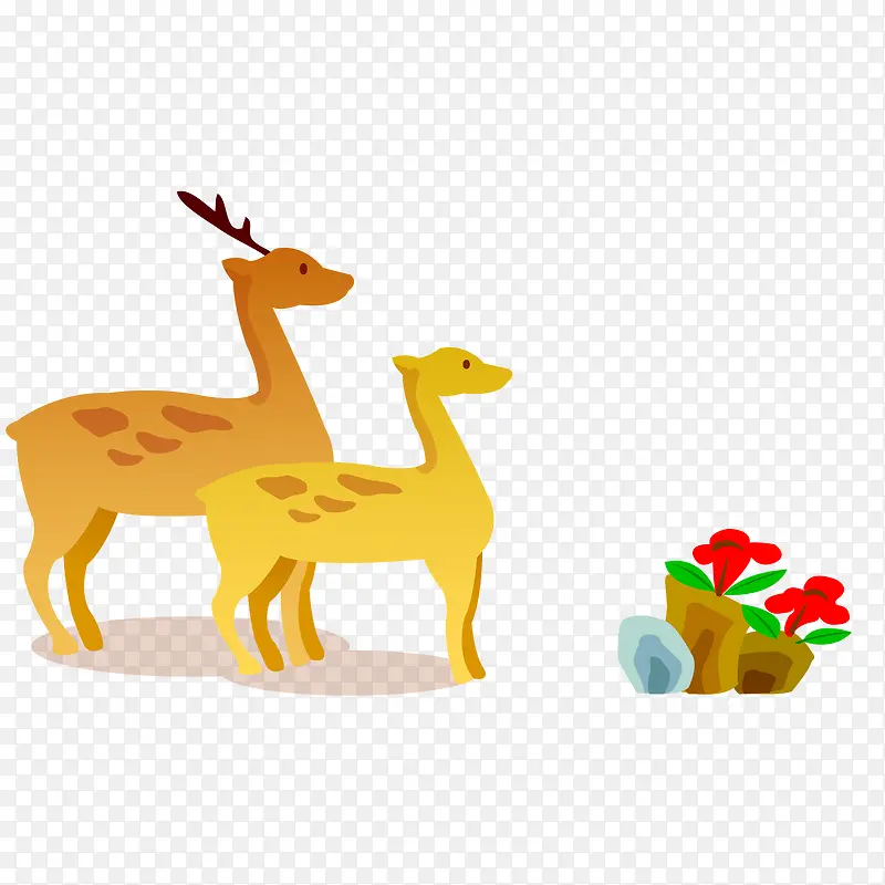 ��ͨ�ɰ�С¹-������