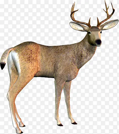 С¹����-������