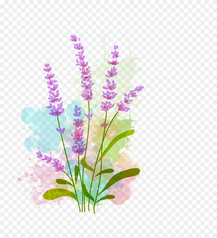 ޹�²�װ�α���ʸ��ͼ-������