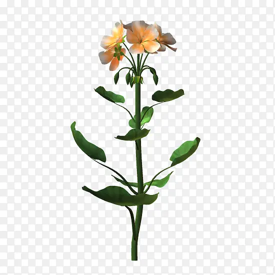 �ɰ���ɫС����Ҷ-������