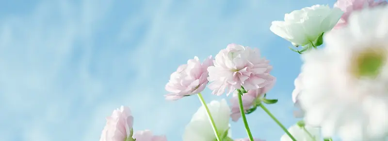 ��ɫ�Ļ�-������