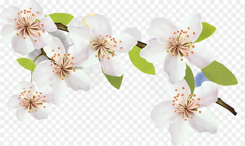 ��ɫ���滨-������