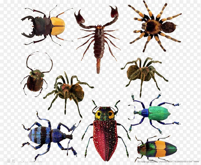 ��ͨ����-������