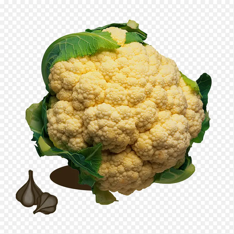 ����ʳ�Ļ���-������