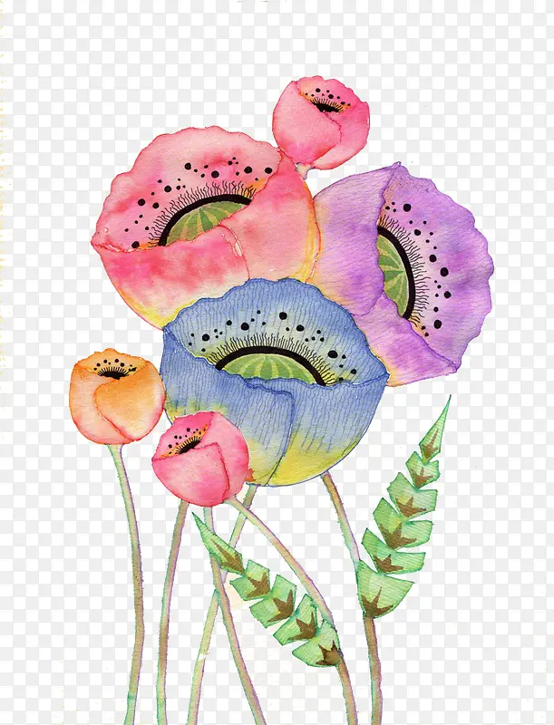 ��ʻ���-������