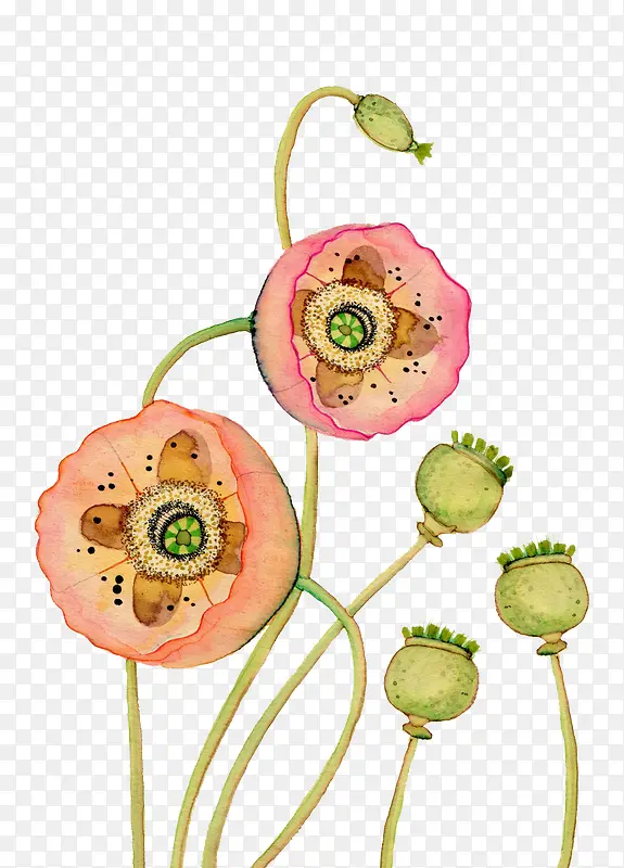 ��ʻ���-������