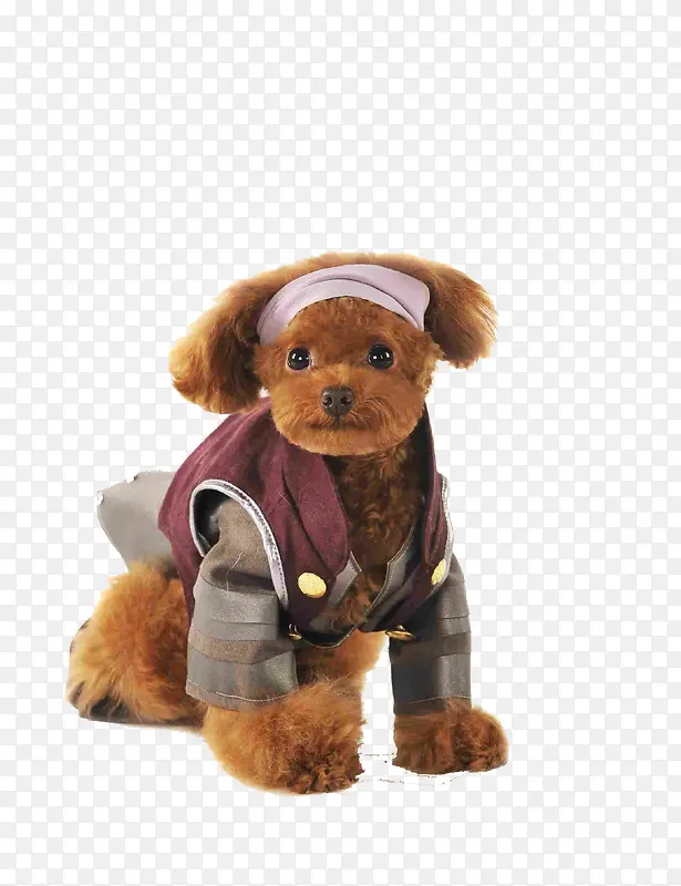 �ɰ�̩��Ȯ-������