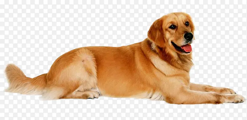 ����ɰ���ɫ��-������