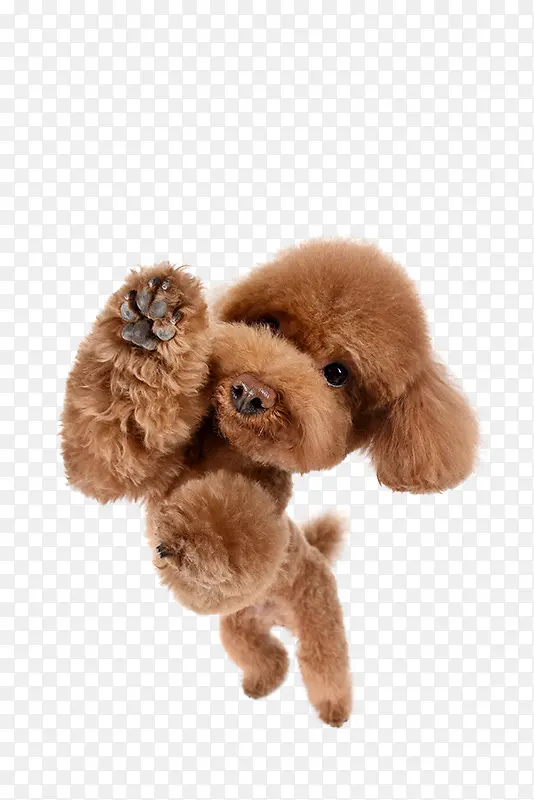 ������Ӱ�ɰ��Ĺ���̩��-������