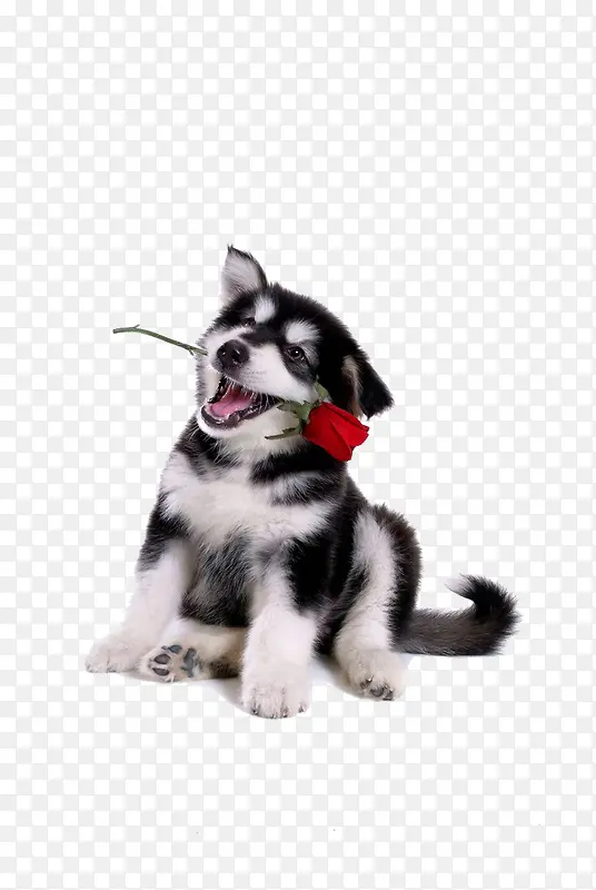 ������Ӱ�ɰ���С��-������