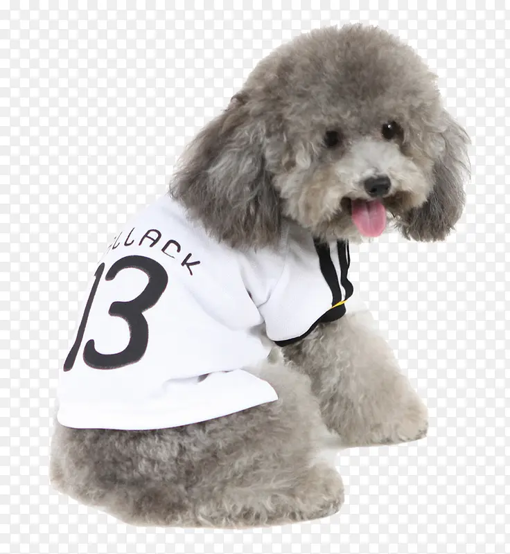 ��Ӱ�ɰ���̩��С��-������