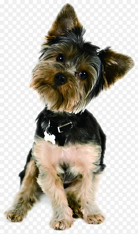 �ɰ���ͷ��������-������