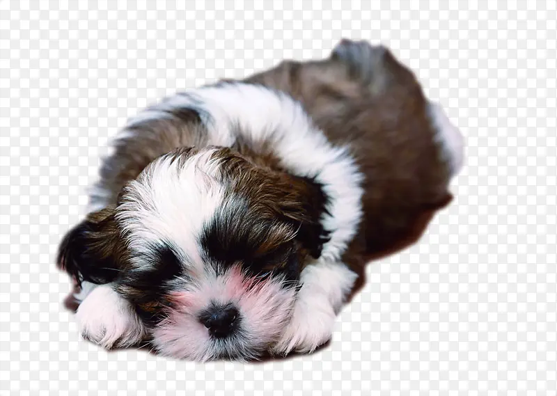 �ɰ�˯����������-������