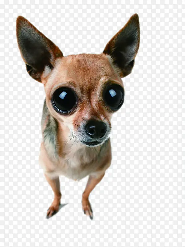 ʱ�д��۹����ɰ�-������