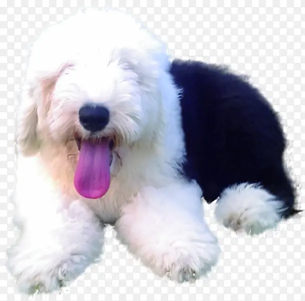 �ɰ����ﹷ������-������