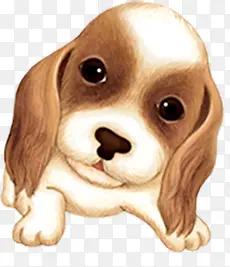 �ɰ�С����ͨ����-������