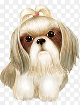 ��ɫС���ɰ��ֻ�-������