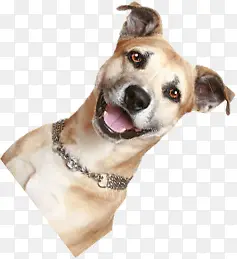 С������ɰ��Ĺ���-������