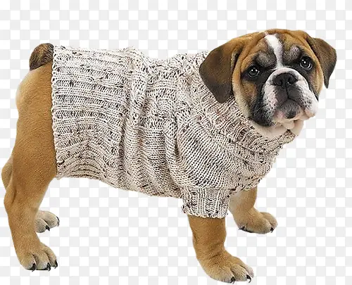 ����ɰ���-������