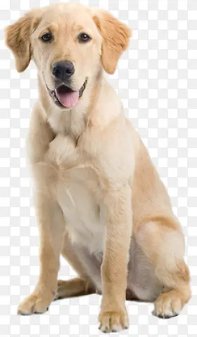 �ɰ�����-������