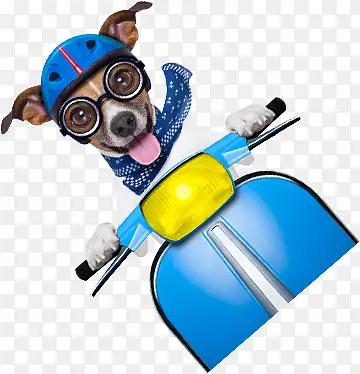 �ɰ���ɫ���й���-������