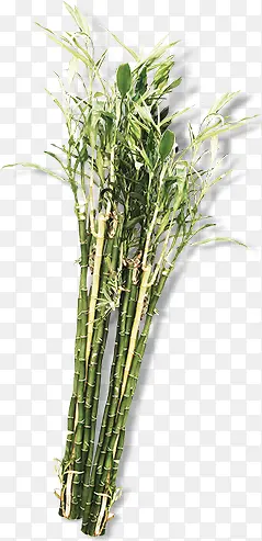 ��-������