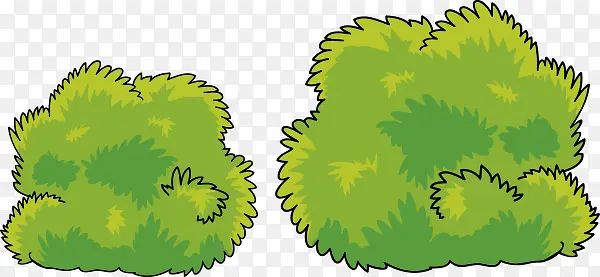 ʸ���ɰ���ɫֲ��-������