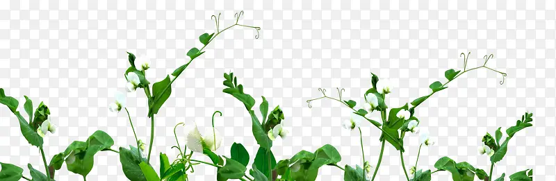 ��ɫ-������