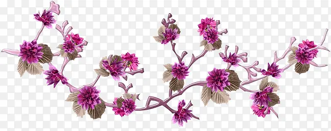 ����-������