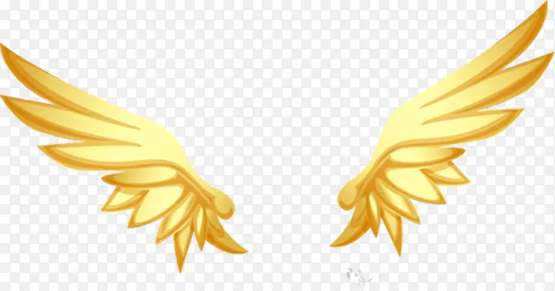 ��ɫ������߹�-������